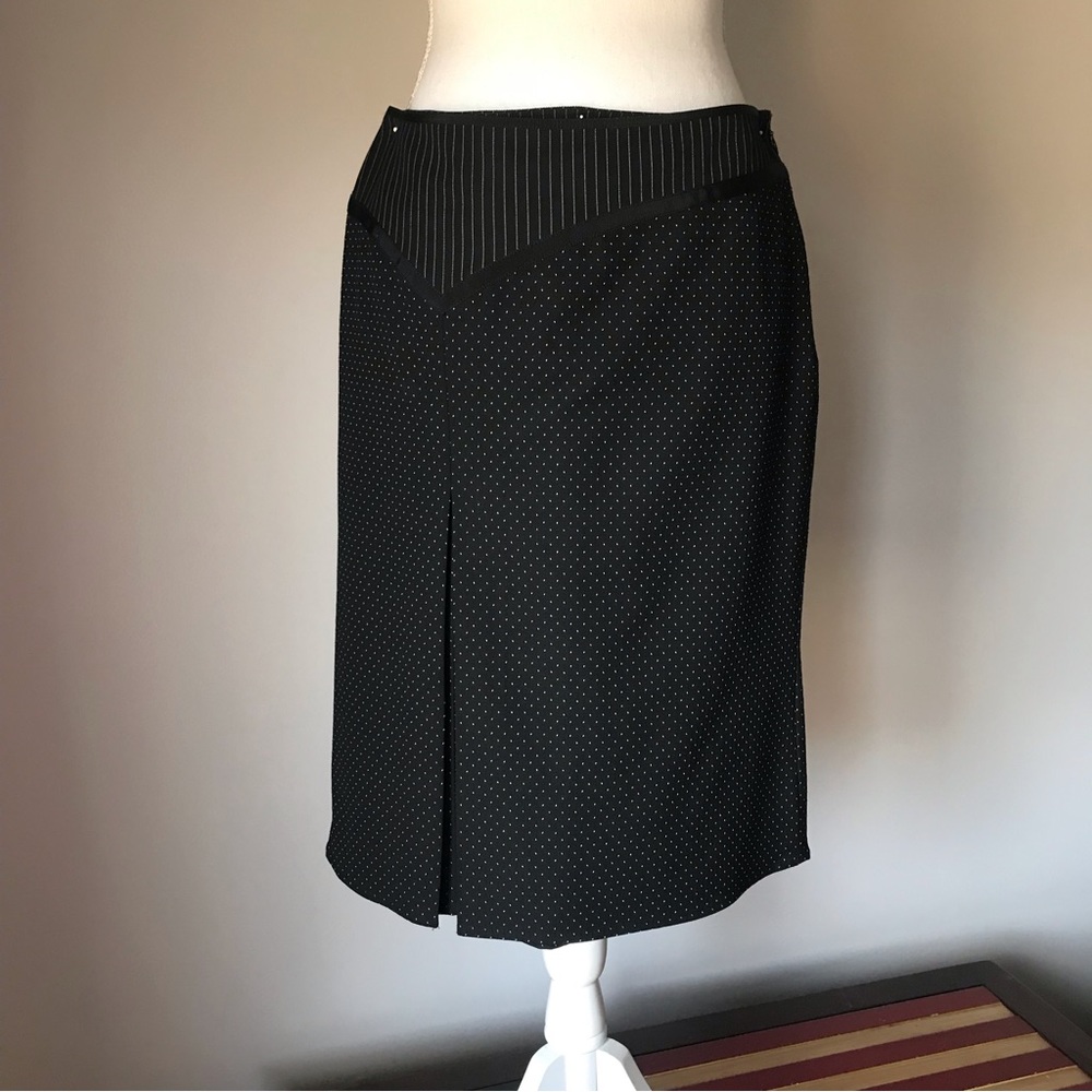 Skirt from The Limited